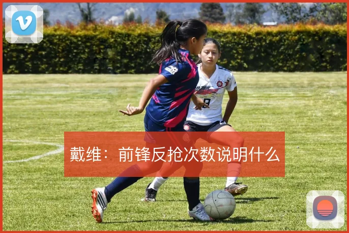 戴维：前锋反抢次数说明什么